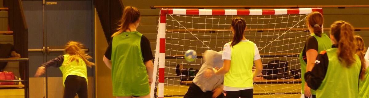 VAL SOLOGNE HANDBALL FEMININ