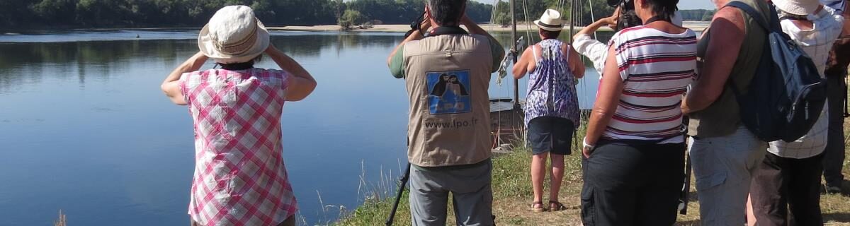 Ligue Protection des Oiseaux Centre-Val de Loire