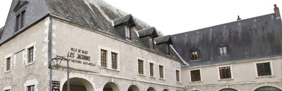 Muséum d’histoire naturelle de Blois